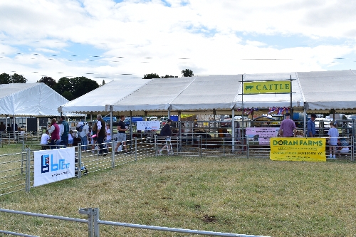 ChertseyAgg2024_2.JPG ChertseyAgg2024_2.JPG