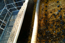 Cliffe_London_Gateway_Port_Development3