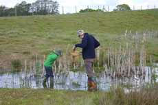 villa_pond_dipping