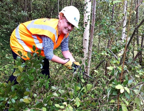 Chafford Gorges 2.jpg Chafford Gorges 2.jpg