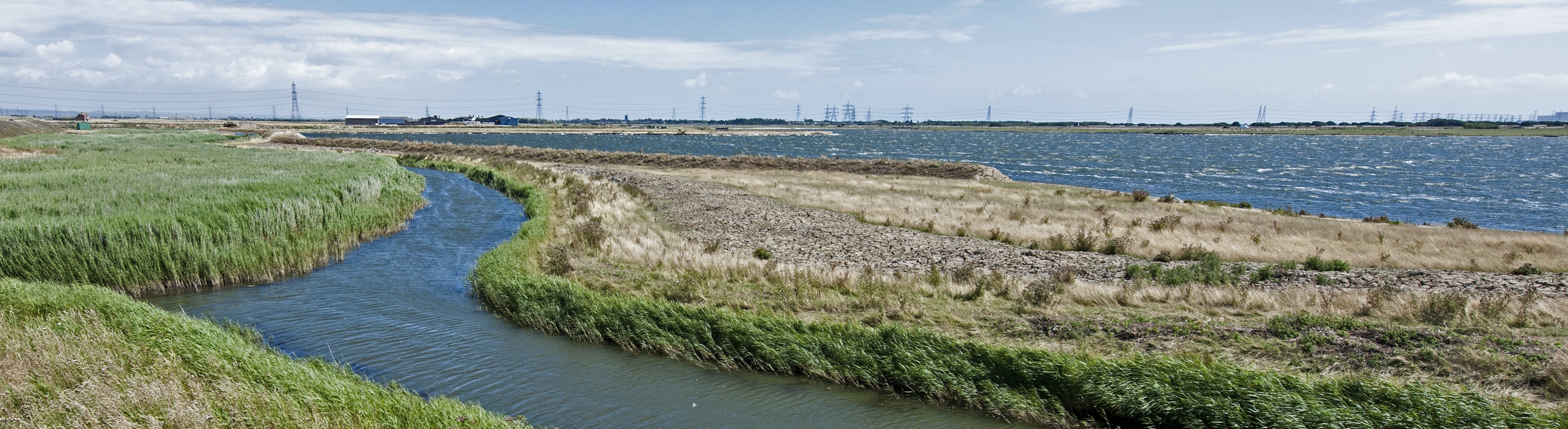 Lydd-19h banner 2.jpg