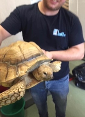 Brett 110 - A Helping Hand For Rescue Centre - 1.jpg