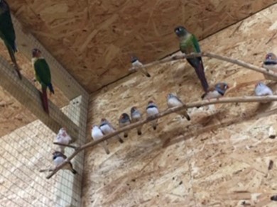 Brett 110 - A Helping Hand For Rescue Centre - 8.jpg