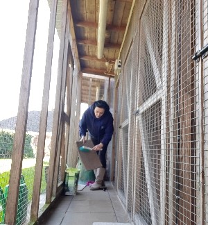 Brett 110 - Alresford Kitten and Feral Rescue Centre - 10.jpg