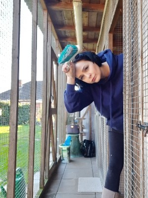 Brett 110 - Alresford Kitten and Feral Rescue Centre - 11.jpg