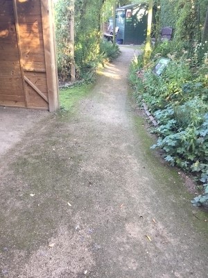 Brett 110 - Eco Garden Renovation For Rainbows Hospice - 1.jpg