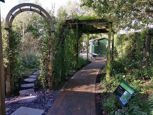 Brett 110 - Eco Garden Renovation For Rainbows Hospice - 8.jpg