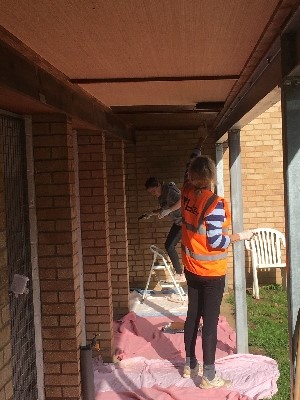 Brett 110 - Helping Out At The RSPCA - 1.jpg