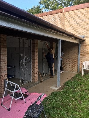 Brett 110 - Helping Out At The RSPCA - 4.jpg