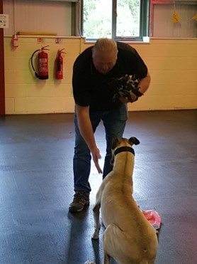 Brett 110 - Making Friends At The Dogs Trust, Canterbury - 1.jpg