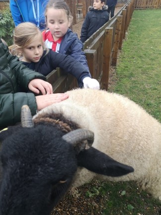 Brett 110 - Rainbows on a Rainy Day - 3.jpg