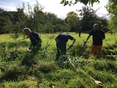 Brett 110 - Turners Orchard Community Space - 1.jpg