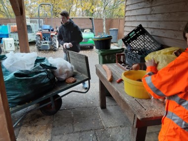 Brett 110 - Volunteering At The Swan Sanctuary - 2.jpg