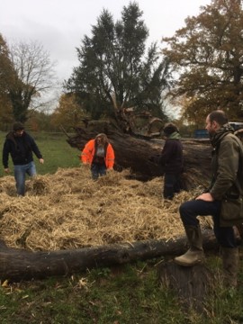 Brett 110 - Volunteering Day At Howletts Wildlife Park - 6.jpg