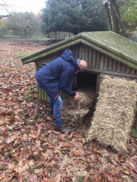 Brett 110 - Volunteering Day At Howletts Wildlife Park - 7.jpg