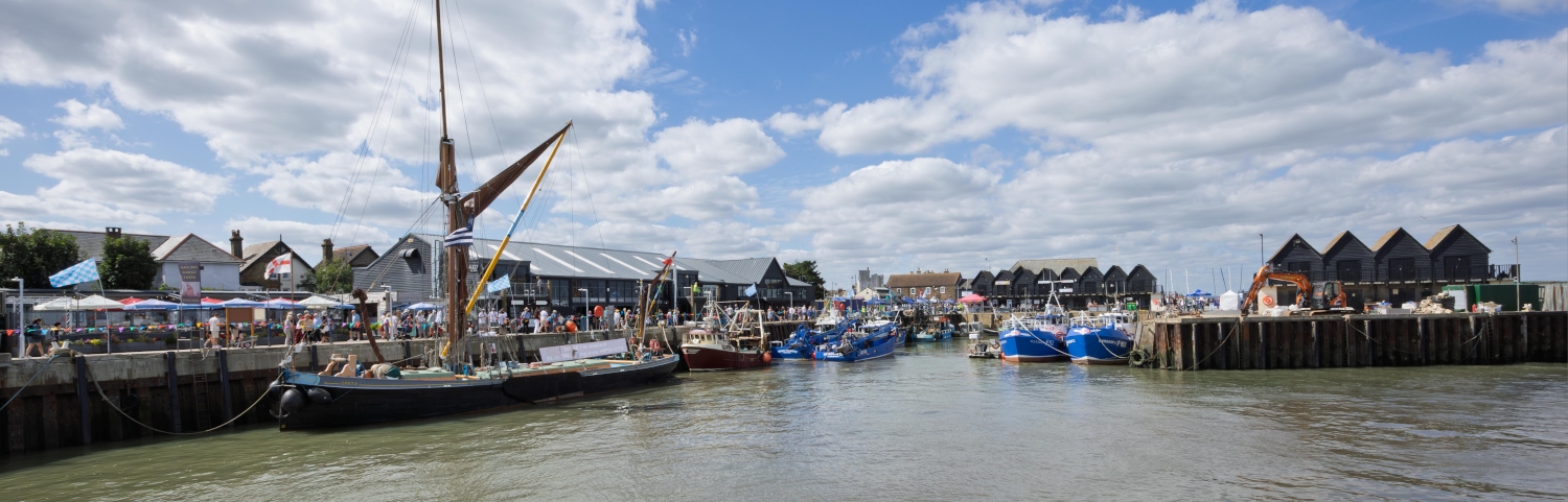 HarbourDay_25_-14 (1).jpg