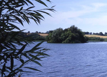 planning and restoration.jpg